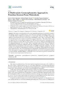 A Multivariate Geomorphometric Approach to Prioritize Erosion-Prone Watersheds