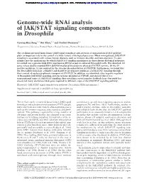 Genome-Wide Rnai Analysis of JAK/STAT Signaling Components in Drosophila