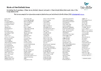 Birds of the Enfield Forest and Surrounds 2019