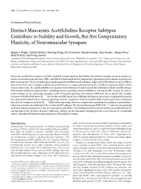 Distinct Muscarinic Acetylcholine Receptor Subtypes Contribute to Stability and Growth, but Not Compensatory Plasticity, of Neuromuscular Synapses