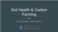 Pacific Biochar What Is Biochar?
