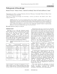 Pathogenesis of Brucella Spp. Mariana N
