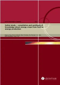 Initial Study – Compilation and Synthesis of Knowledge About Energy Crops from Field to Energy Production