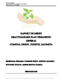 RAPORT DE MEDIU REACTUALIZARE PLAN URBANISTIC GENERAL Comuna Dridu, Jud