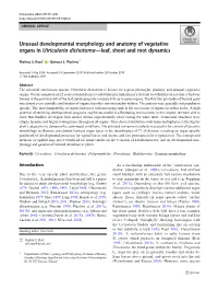 Unusual Developmental Morphology and Anatomy of Vegetative Organs in Utricularia Dichotoma—Leaf, Shoot and Root Dynamics