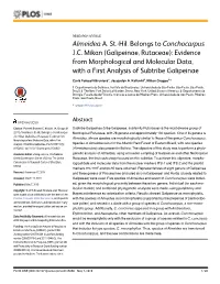Galipeinae, Rutaceae): Evidence from Morphological and Molecular Data, with a First Analysis of Subtribe Galipeinae