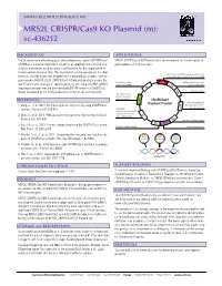 MRS2L CRISPR/Cas9 KO Plasmid (M): Sc-436212