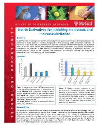 Netrin Derivatives for Inhibiting Metastasis and Neovascularization