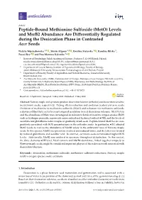 Peptide-Bound Methionine Sulfoxide (Meto) Levels and Msrb2 Abundance Are Diﬀerentially Regulated During the Desiccation Phase in Contrasted Acer Seeds
