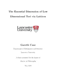 The Essential Dimension of Low Dimensional Tori Via Lattices