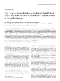 Two Forms of Astrocyte Calcium Excitability Have Distinct Effects on NMDA Receptor-Mediated Slow Inward Currents in Pyramidal Neurons