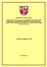 Ahmad Muhammad Talba