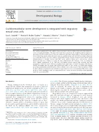Cochleovestibular Nerve Development Is Integrated with Migratory Neural Crest Cells