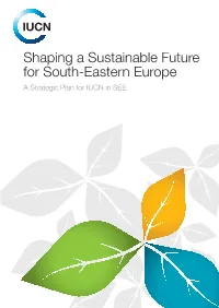 Strategy Shaping a Sustainable Future For