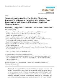 Supported Membranes Meet Flat Fluidics: Monitoring Dynamic Cell