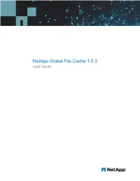 Netapp Global File Cache 1.0.3 User Guide