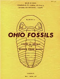 Ohio Fossils