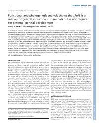 Seifert Et Al Fgf8 Dev2009.Pdf
