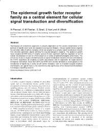 The Epidermal Growth Factor Receptor Family As a Central Element for Cellular Signal Transduction and Diversiﬁcation