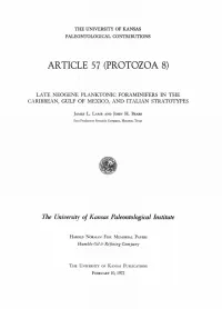 Article 57 (Protozoa 8)