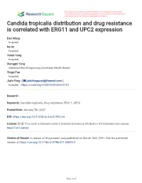 Candida Tropicalis Distribution and Drug Resistance Is Correlated with ERG11 and UPC2 Expression