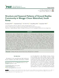 Structure and Seasonal Patterns of Ground Beetles Community in Wangpi-Cheon Watershed, South Korea