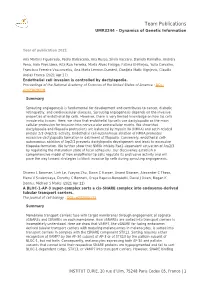 Team Publications UMR3244 – Dynamics of Genetic Information