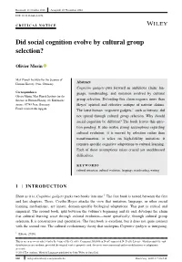 Did Social Cognition Evolve by Cultural Group Selection?