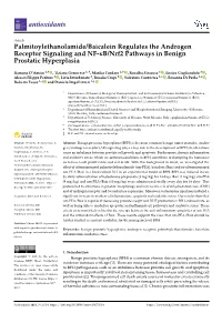 Palmitoylethanolamide/Baicalein Regulates the Androgen Receptor Signaling and NF-Κb/Nrf2 Pathways in Benign Prostatic Hyperplasia
