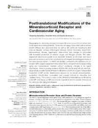 Posttranslational Modifications of the Mineralocorticoid Receptor And