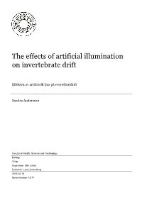 The Effects of Artificial Illumination on Invertebrate Drift