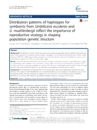 Distribution Patterns of Haplotypes for Symbionts from Umbilicaria Esculenta and U