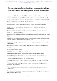 The Contribution of Mitochondrial Metagenomics to Large- Scale Data Mining and Phylogenetic Analysis of Coleoptera