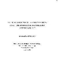 The Reinvestigation of Hoffman'sirobberg Cave - the Artefactual and Shellfish Assemblages, 2007
