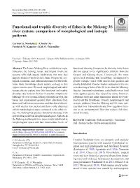 Functional and Trophic Diversity of Fishes in the Mekong-3S River System: Comparison of Morphological and Isotopic Patterns
