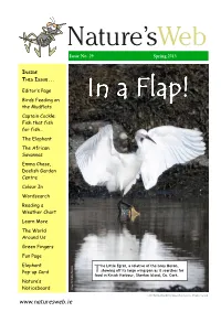 Complete Newsletter