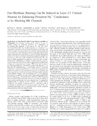 Fast Rhythmic Bursting Can Be Induced in Layer 2/3 Cortical Neurons by Enhancing Persistent Naϩ Conductance Or by Blocking BK Channels