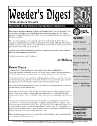 November 2002