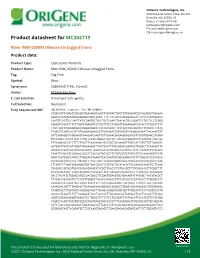 Rbsn (NM 030081) Mouse Untagged Clone – MC202719 | Origene