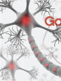 Three Photon Microscopy Brain Imaging