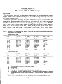 Adec Preview Generated PDF File