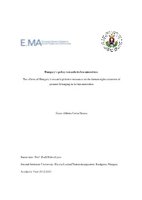 Hungary's Policy Towards Its Kin Minorities