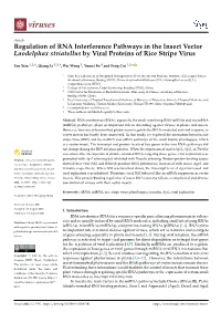 Regulation of RNA Interference Pathways in the Insect Vector Laodelphax Striatellus by Viral Proteins of Rice Stripe Virus