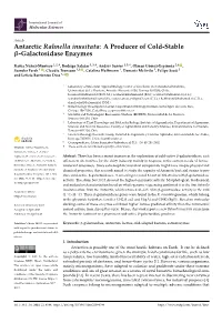 Antarctic Rahnella Inusitata: a Producer of Cold-Stable Β-Galactosidase Enzymes