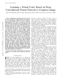 Learning a Virtual Codec Based on Deep Convolutional Neural