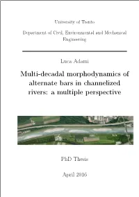 Multi-Decadal Morphodynamics of Alternate Bars in Channelized Rivers: a Multiple Perspective