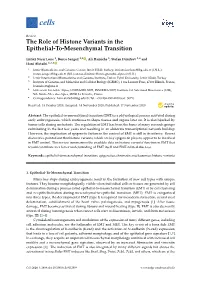The Role of Histone Variants in the Epithelial-To-Mesenchymal Transition