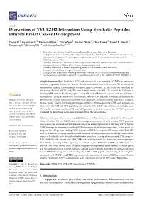 Disruption of YY1-EZH2 Interaction Using Synthetic Peptides Inhibits Breast Cancer Development