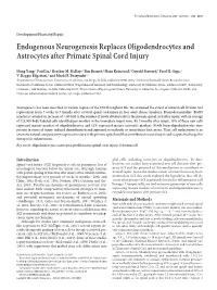 Endogenous Neurogenesis Replaces Oligodendrocytes and Astrocytes After Primate Spinal Cord Injury