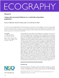 Large-Scale Movement Behavior in a Reintroduced Predator Population